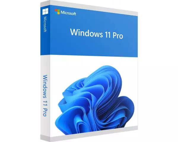 Windows 11 64bit Pro Edition 